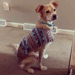 Meet your Posher, Linoshka